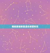 哪些属相家里适合放塑料花，买个塑料花放家中怎么样？
