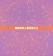 属蛇的贵人属相是什么，属马的小人属相是什么
