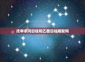 戊申求问日柱和乙酉日柱婚配吗，戊申日柱和乙丑日柱做夫妻相克吗？