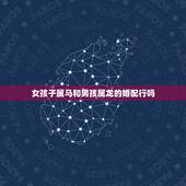 女孩子属马和男孩属龙的婚配行吗，属马的女孩跟属龙的男孩相配吗