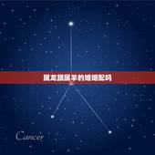 属龙跟属羊的婚姻配吗，属龙与属羊婚配好不好