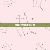 今年37岁属相是什么，35岁属什么