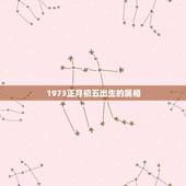 1973正月初五出生的属相，1973年1月11号出生属什么生肖？