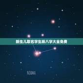 新生儿取名字生辰八字大全免费，免费公司起名网