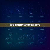 属兔的今年的运气怎么样1975，75年兔子今天运势怎样？