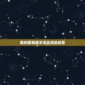 我的属相美术活动活动反思，中班生肖真有趣主题活动反思