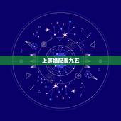 上等婚配表九五，95年属猪的和什么属相最配