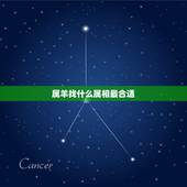 属羊找什么属相最合适，属羊的和什么属相最配