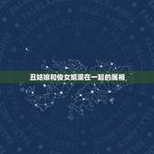 丑姑娘和俊女婿混在一起的属相，丑姑娘给俊女婿————混着过 猜是一种动