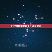 日柱纳音婚配看天干还是地支，婚姻看天干还是地支