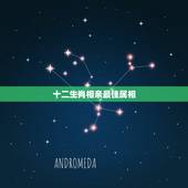 十二生肖相亲最佳属相，十二生肖婚配:属相合婚配对表