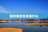 鼠的相合生肖是什么，1996年属鼠是什么命