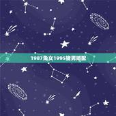1987兔女1995猪男婚配，87年兔女和95年的猪男