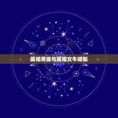 属相男猪与属相女牛婚配，属猪和属牛的在一起好吗？