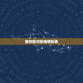 猴的配对属相婚配表，属猴的人和哪些属相相配比较好