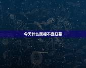 今天什么属相不宜扫墓，今天是清明节2011年4月5号，可是一起床村里人