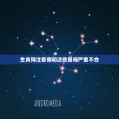生肖狗注意你和这些属相严重不合，生肖狗跟那些生肖不合