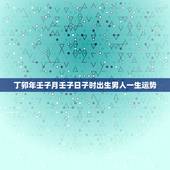 丁卯年壬子月壬子日子时出生男人一生运势，我是丁卯年壬子月壬子日戌时出生