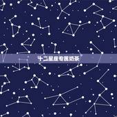 十二星座专属奶茶 十二星座公主裙
