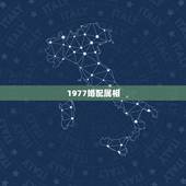 1977婚配属相，77年属蛇和什么属相在一起合适一点