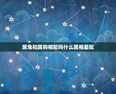 属兔和属狗相配吗什么属相最配，属狗的和属兔的相配吗？