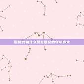 属猪的和什么属相最配的今年多大，属猪的和什么属相最配