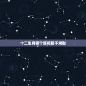 十二生肖哪个属相最不知耻，十二生肖哪个属相最差