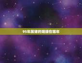 95年属猪的姻缘在哪年，属猪婚配更佳属相