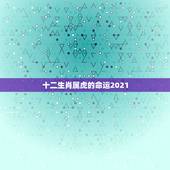 十二生肖属虎的命运2021，2021十二生肖的全年运势
