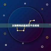 女猪男狗的属相合不合婚姻，男属狗女属猪的婚姻怎样