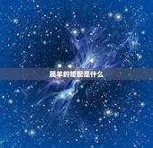 属羊的婚配是什么，91年属羊早婚必离