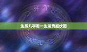 生辰八字看一生运势起伏图，我的生辰八字预测运势