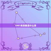 1991年的猴是什么命，91年的属猴的命运，2021年命运如何？