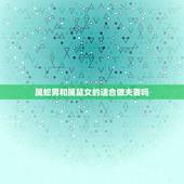 属蛇男和属鼠女的适合做夫妻吗，属蛇男和属鼠女在一起会不会离婚