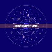属鼠和属猪的合不合婚，属猪和属鼠的合不合