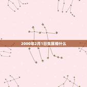 2000年2月1日生属相什么，2000年2月1日出生属兔的今年多大了？