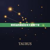 带财运的微信名字大全两个字，可以带来好运的微信名两个字