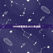 1958年属狗女2022年运势，虎年狗的运势2022运势
