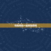 马和鸡在一起财运好吗，牛相生的生肖