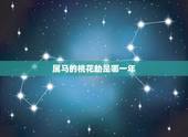属马的桃花劫是哪一年，84年属老鼠男性与78年属马女性桃花劫会在几月份