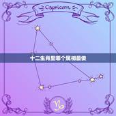 十二生肖里哪个属相最傻，12生肖中哪个生肖最傻