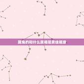 属兔的和什么属相是更佳姻缘，属兔人婚配最宜生肖
