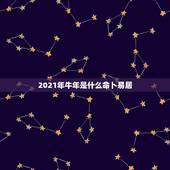 2021年牛年是什么命卜易居，2021年什么命