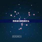 艺的五行属性是什么，为什么歌舞演艺五行属火