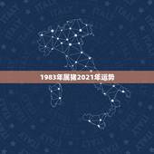 1983年属猪2021年运势，属猪2021年运势及运程