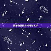属猪和属鼠的婚姻怎么样，属猪与属鼠相配吗？