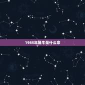 1985年属牛是什么命，1985属牛一生有二婚