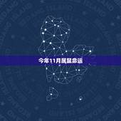 今年11月属鼠命运，属鼠女哪个月份是命苦