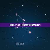 属鸡人1981招财微信名女2021，微信头像用什么最好最吉利