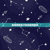 属相婚配兔子和鸡能婚配吗，请问属兔的跟什么属相可以配啊？